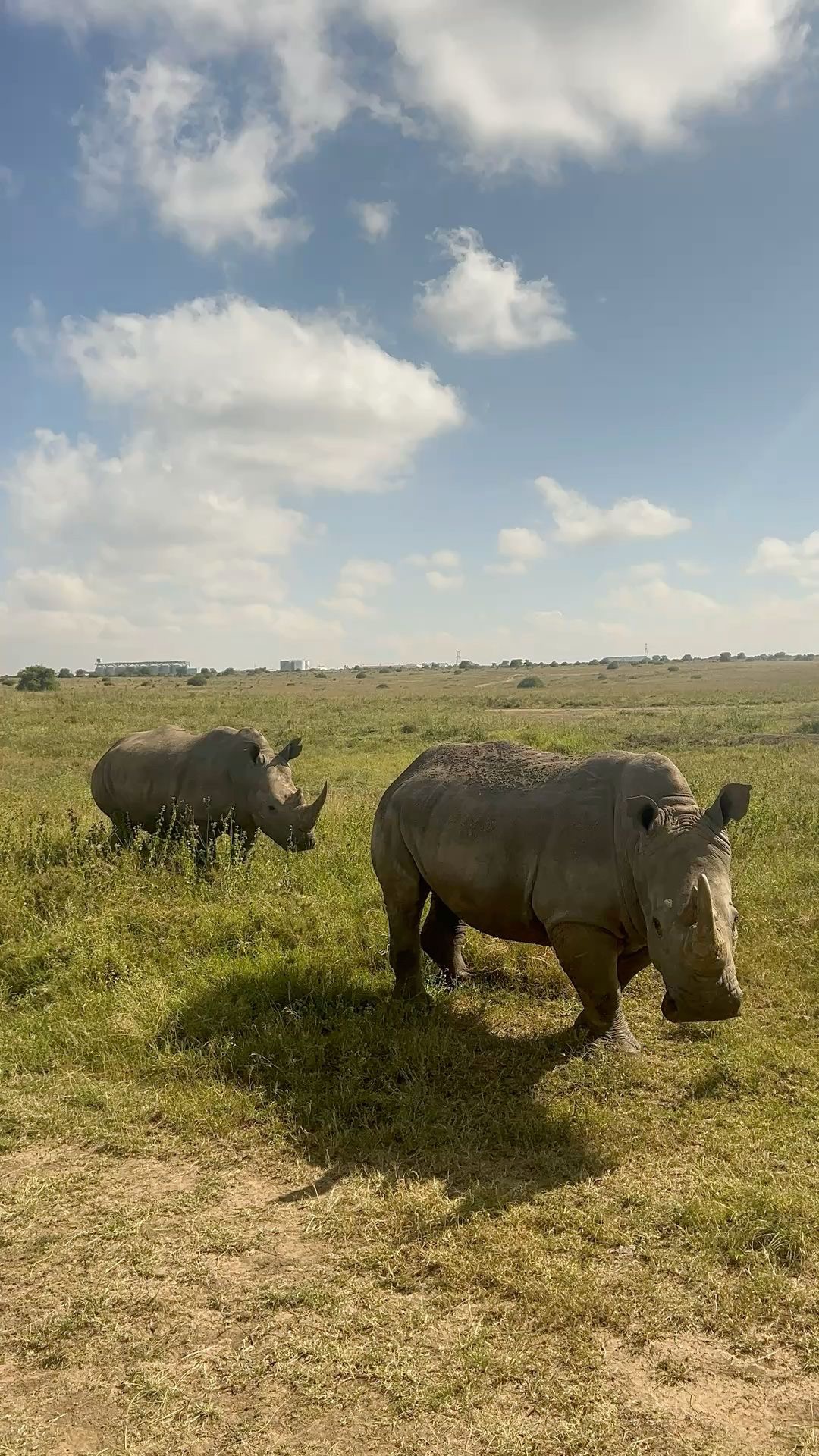 Wildlife Photo